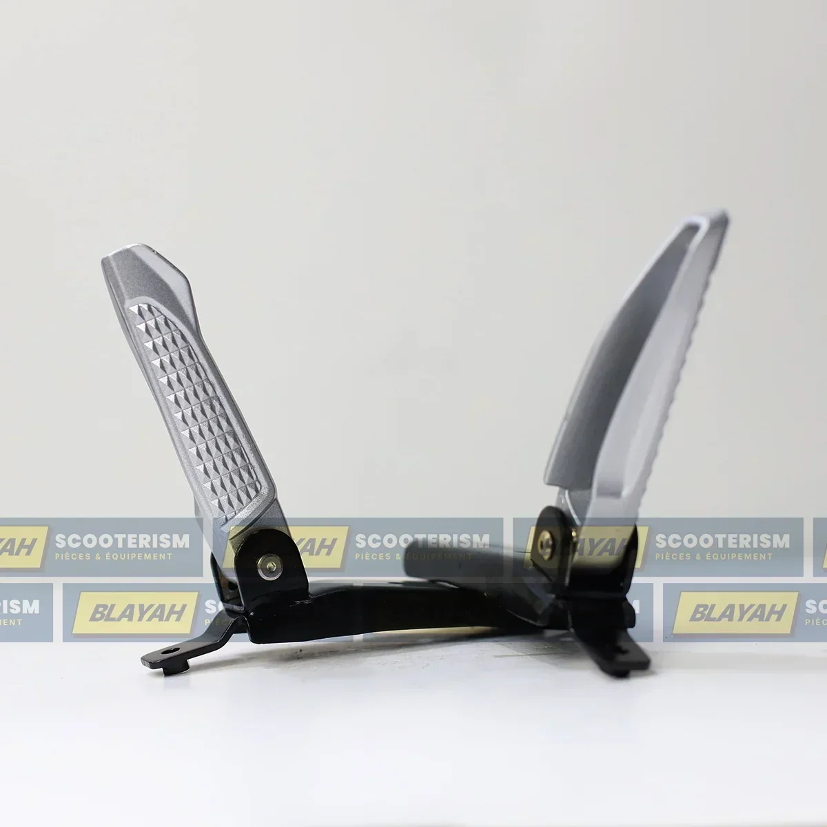 Paire de Repose-pieds Passager